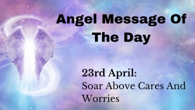 angel message of the day : soar above cares and worries