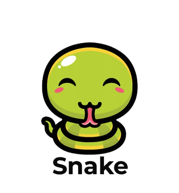 Snake24