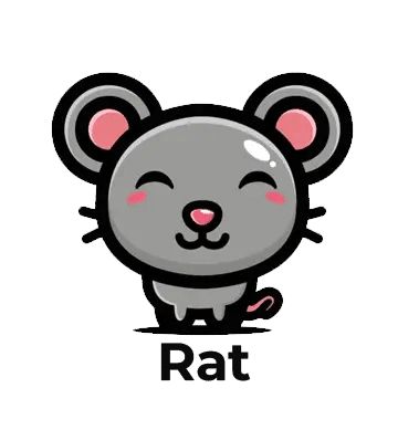 rat24