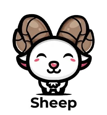 sheep24